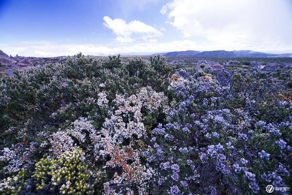 舒心之旅、尽管出发:地平线8号大旅行家拉杆箱