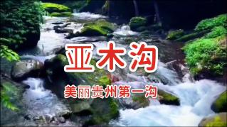 南非:扑救山火(环球掠影)