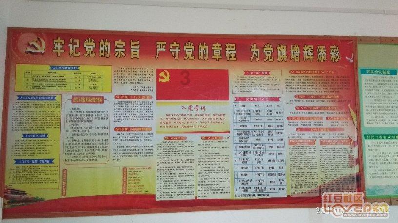 没文化可以考驾照吗？