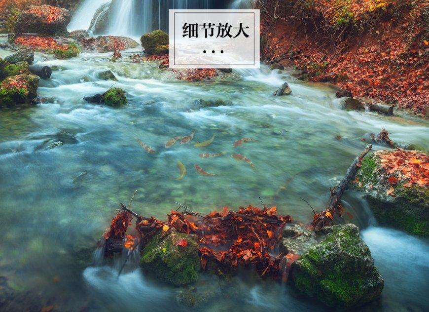 抹不下脸是什么意思