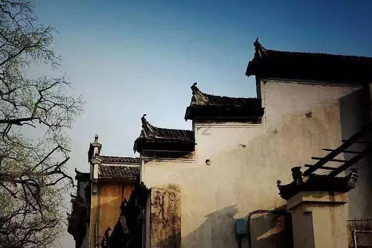 沙滩游玩的女孩们